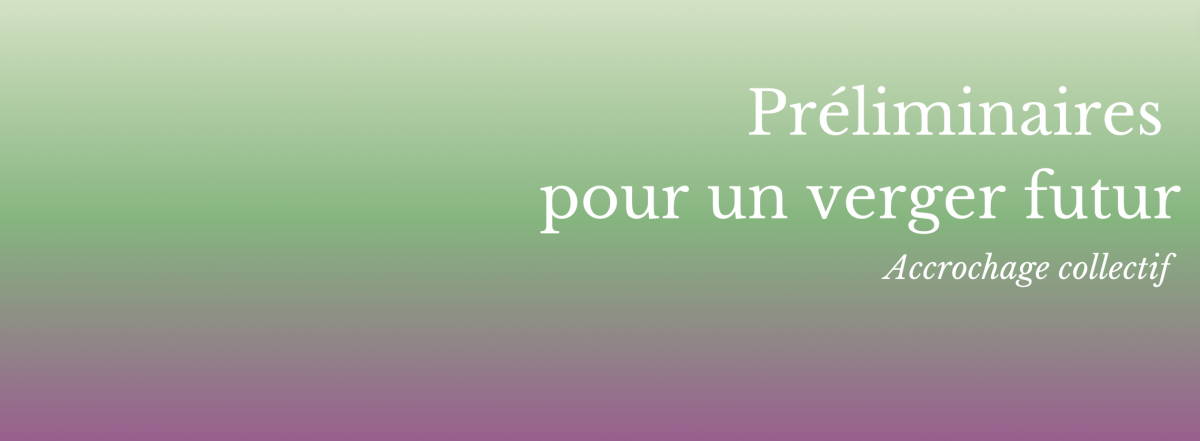 Préliminaires pour un verger futur 